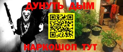 бошки Кимры