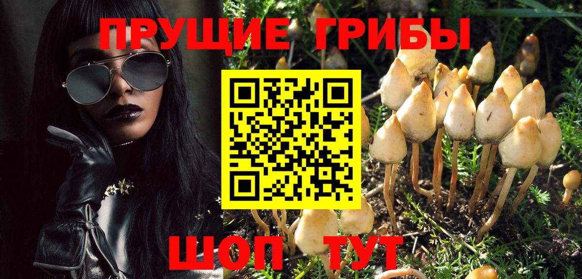 Заводоуковск  Псилоцибиновые грибы MAGIC MUSHROOMS  Вход с VPN 