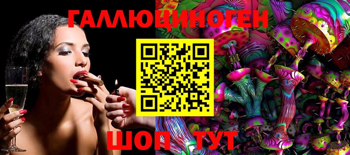 Псилоцибиновые грибы Cubensis Заводоуковск